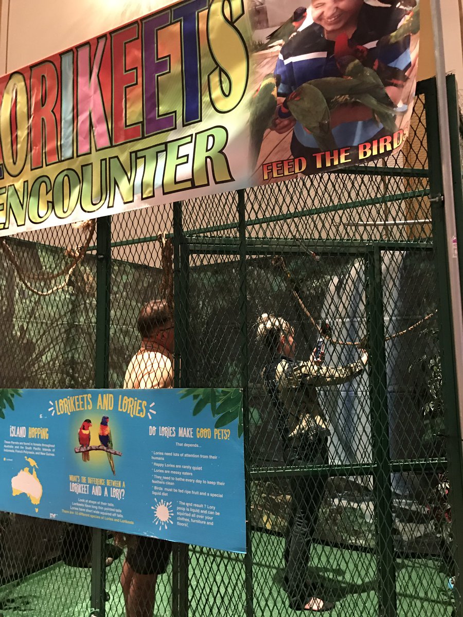 IAFEYPI's tweet photo. Things you only see at a Fair convention! #IAFE2017 #IAFEYPI https://t.co/e1w4VwRoxh