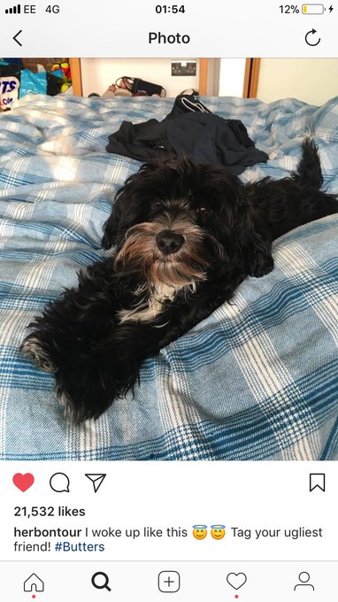 Watch Kirsty's leaked NSFW photo on TwXstars