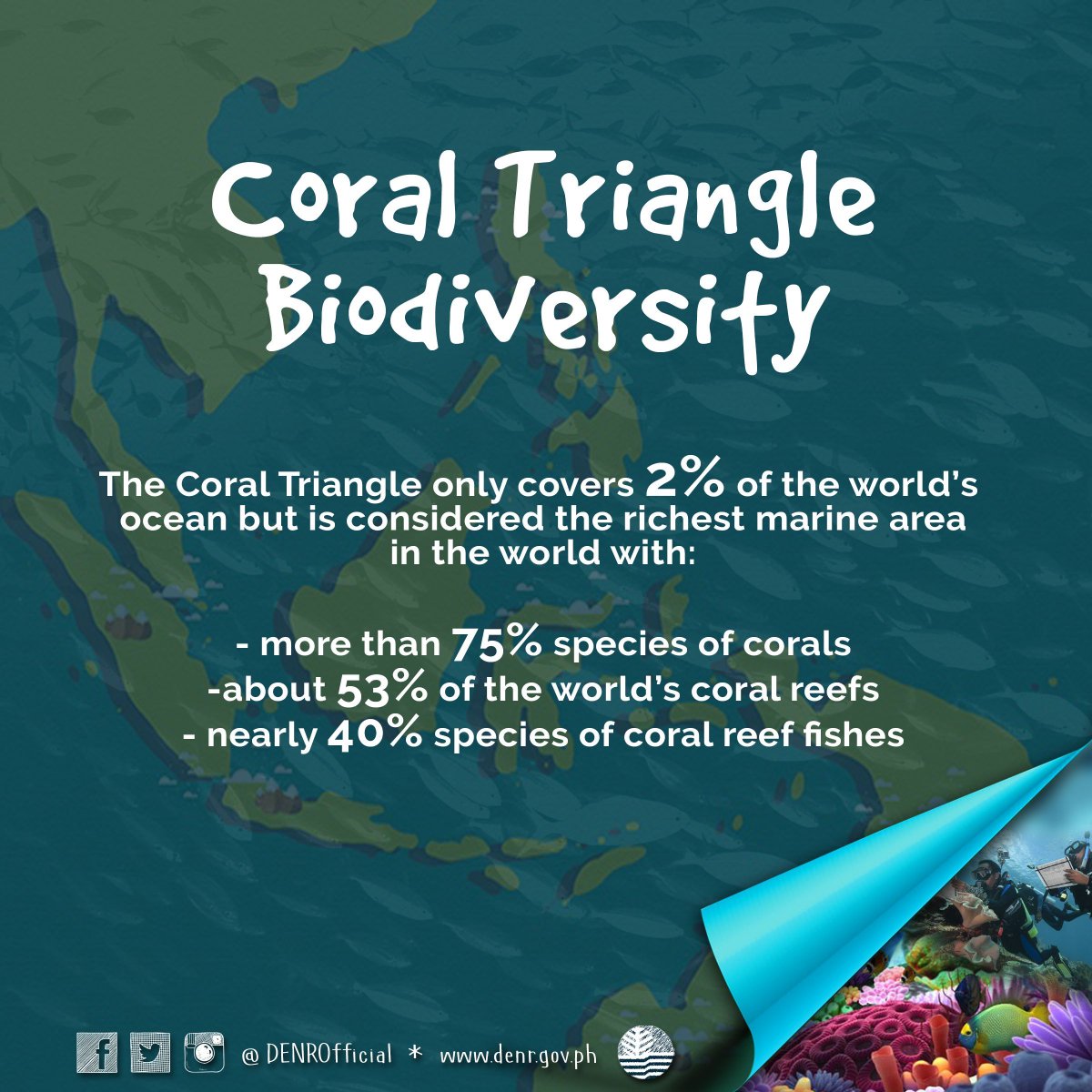 DENROfficial's tweet photo. READ and RT: The Coral Triangle is one of the world's richest areas in terms of marine biodiversity.
@CTICFF #CoralTriangle #marinebiodiversity https://t.co/2lPiqdgl3V