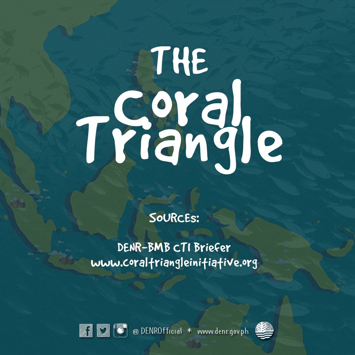 DENROfficial's tweet photo. READ and RT: The Coral Triangle is one of the world's richest areas in terms of marine biodiversity.
@CTICFF #CoralTriangle #marinebiodiversity https://t.co/2lPiqdgl3V