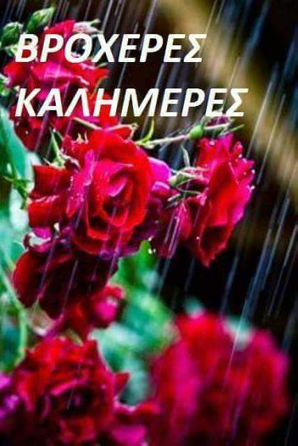 Leoneg71's tweet photo. ΚΑΛΗΜΕΡΑ ΣΕ ΟΛΟΥΣ.ΧΑΡΟΥΜΕΝΗ ΤΡΙΤΗ!! https://t.co/99ETcKCxk0