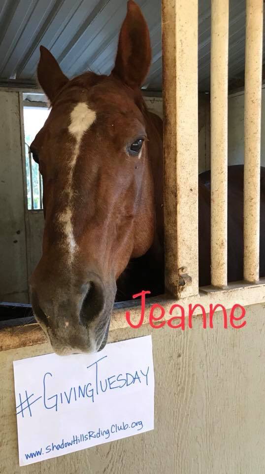 tweetSHRC's tweet photo. R #therapyhorses hope u will remember r #equinetherapy #ranch 4 #GivingTuesday 🐴@GivingTues #donate #nonprofits #horses #veterans #disabled https://t.co/fOO3s0qnkn