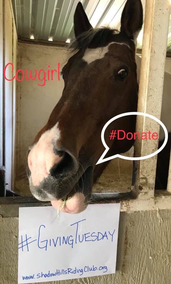 tweetSHRC's tweet photo. R #therapyhorses hope u will remember r #equinetherapy #ranch 4 #GivingTuesday 🐴@GivingTues #donate #nonprofits #horses #veterans #disabled https://t.co/fOO3s0qnkn