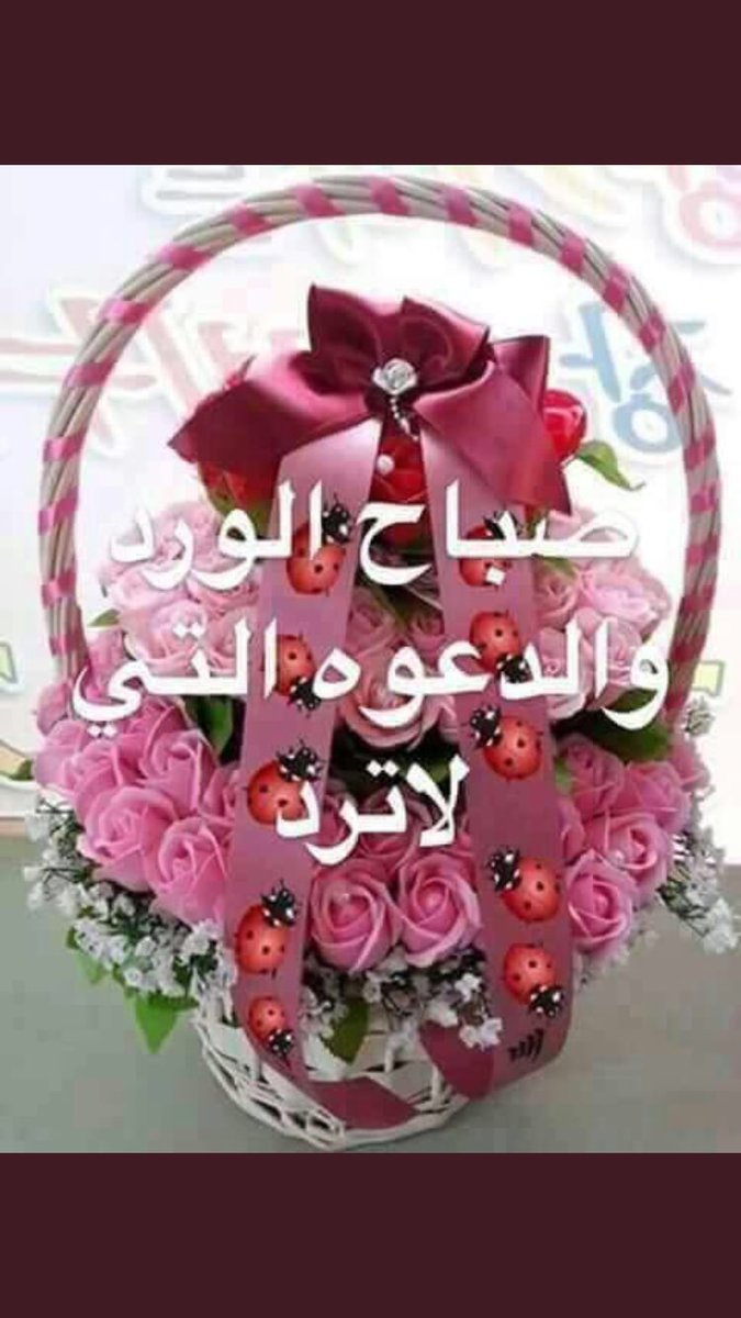 Kalb38450405's tweet photo. https://t.co/Up1DeXic28