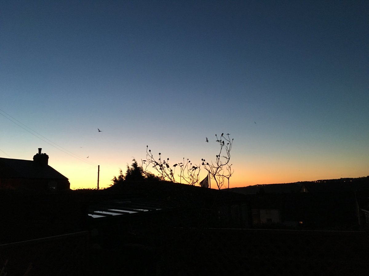 madeleinemaste4's tweet photo. #Tuesdee dawns and the gulls fresh from the sea X #alternativeview https://t.co/ypE4exexM2