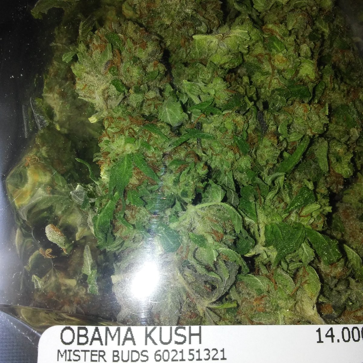 Kimberl75165618's tweet photo. How 2 help cancer pain...and the pain of trump!! #cannabiscures #cancer #nauseous #vegan #alwaysOBAMA https://t.co/SjeLNxfFvj