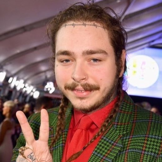 David 🇲🇽 on Twitter: "post malone’s mustache look like two little