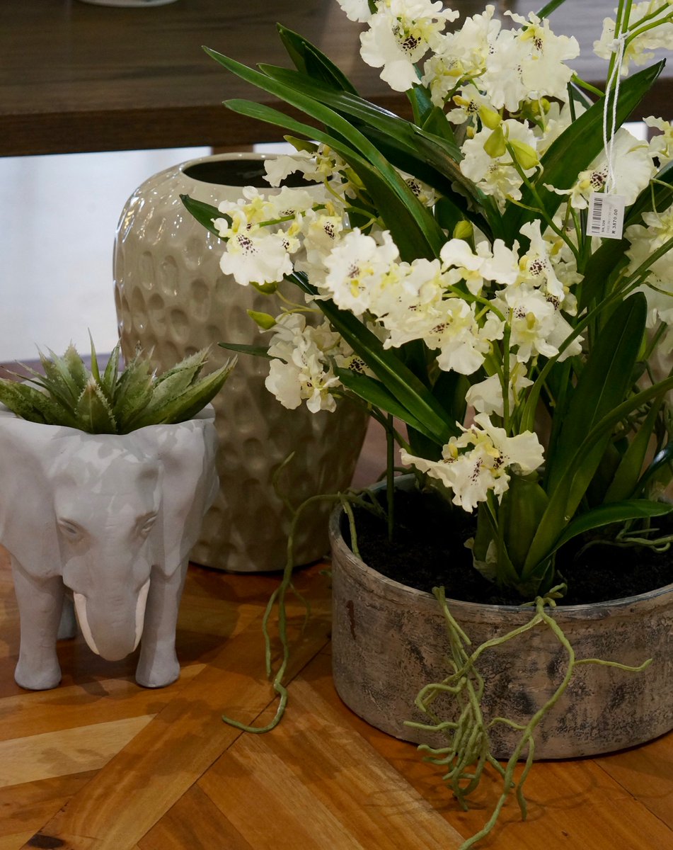 Isabelina Decor tweet media