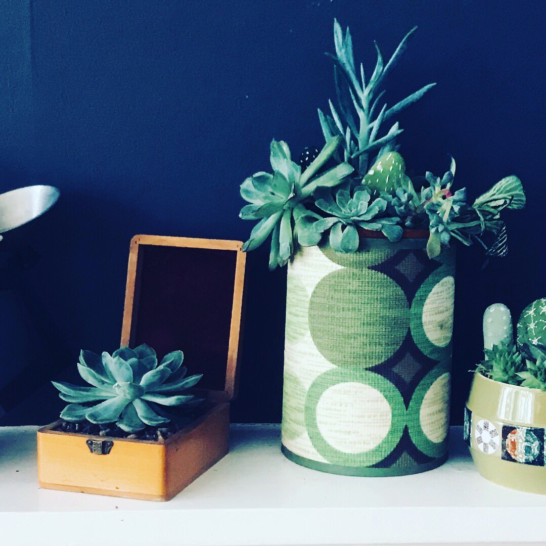 julesmiller's tweet photo. My ‘Succulents &amp; Vintage’ collection. Potted up, pre-loved treasures. Selling fast  at the Brighton &amp; Hove Artists Open Houses this Christmas. https://t.co/OP9pN4IwSp