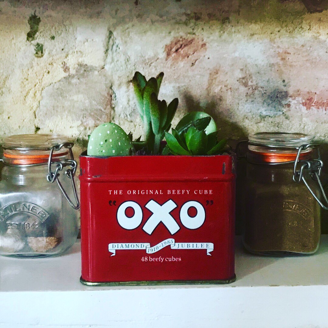 julesmiller's tweet photo. My ‘Succulents &amp; Vintage’ collection. Potted up, pre-loved treasures. Selling fast  at the Brighton &amp; Hove Artists Open Houses this Christmas. https://t.co/OP9pN4IwSp