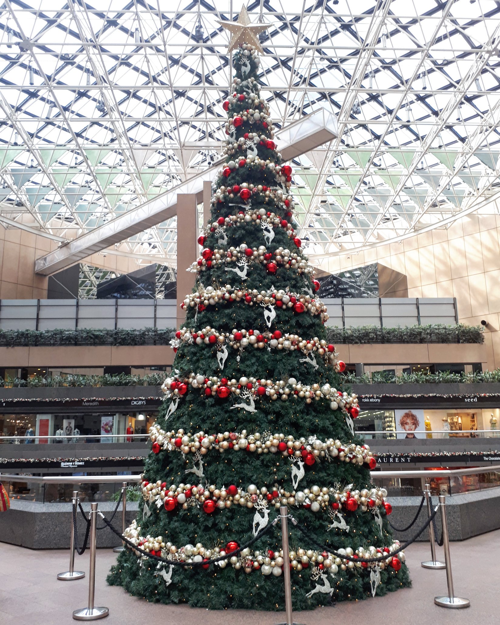 メルボルンのクリスマス Twitter Search Twitter