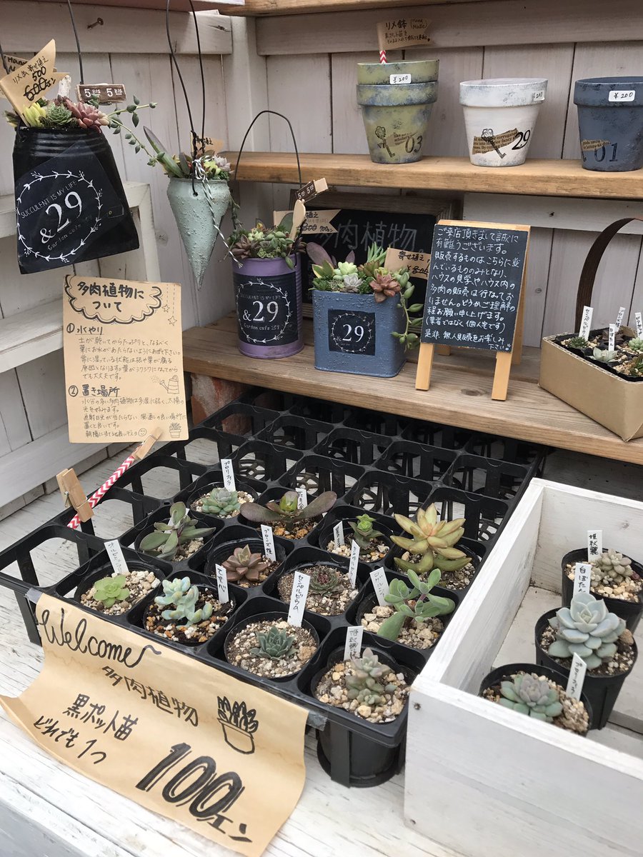 多肉植物食堂 Auf Twitter 多肉植物 伊勢原 無人販売 少しですが並べてます 寄せ植えお値下げしてます お値下げするには躊躇するほどまだまだ楽しめますよ 東海大学病院近く咳止め地蔵さんのすぐ裏手 是非無人販売をお楽しみ下さい