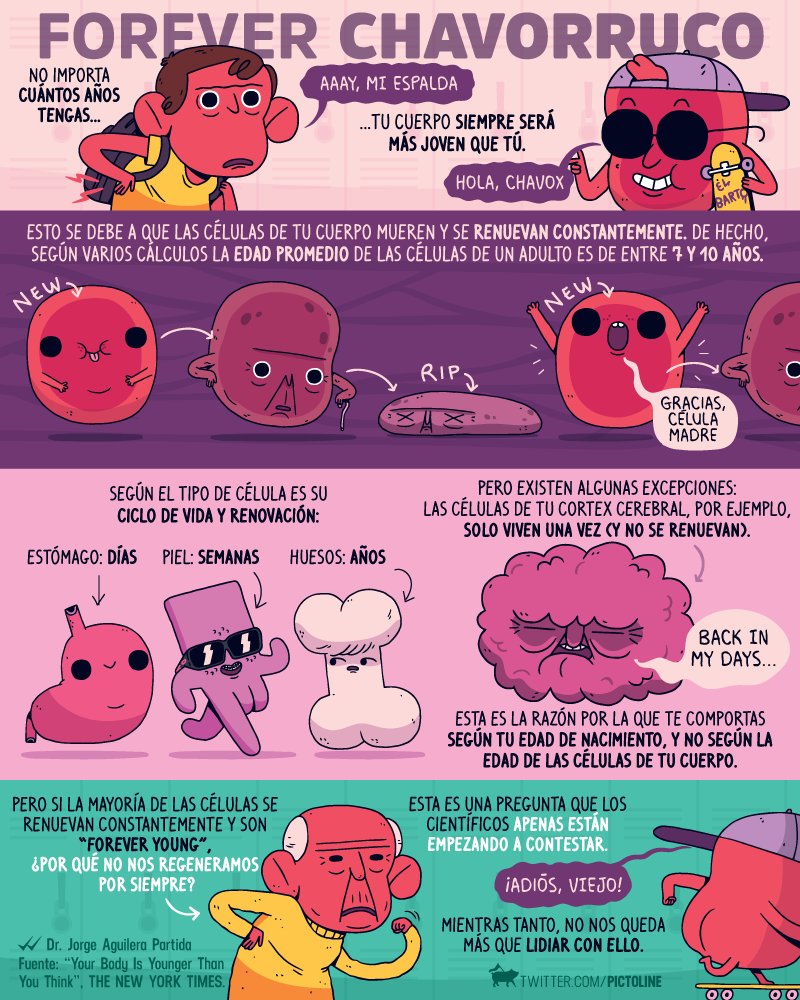 pictoline's tweet photo. Forever young:

Cómo tus células son siempre jóvenes 👶
y desgraciadamente... tú no 👴 https://t.co/uwCR0AwCXf