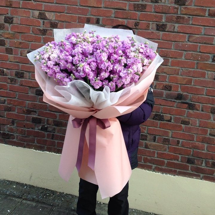 byflower7 tweet picture