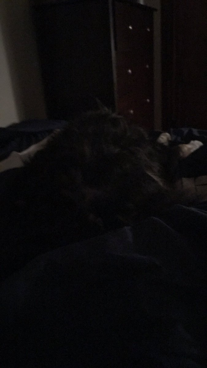 SonderFilms's tweet photo. Watching Paper Boats- Episode 2 while dog has nightmares 😅 @MajesticFilmsS2 https://t.co/Uf1QT3Nogq