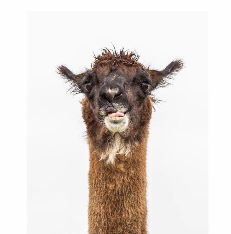 Don't forget to tune in for tomorrow's #GivingTuesday! We have so many surprises in store!