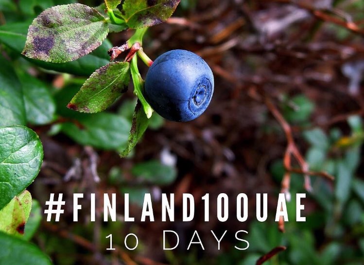 Getting closer 
#Finland100UAE #Suomi100UAE #fbcuae #Finland100 #Suomi100 #Finland #Suomi #UnitedArabEmirates #UAE #FinnishBusinessCouncilUAE  #dubai #suomi