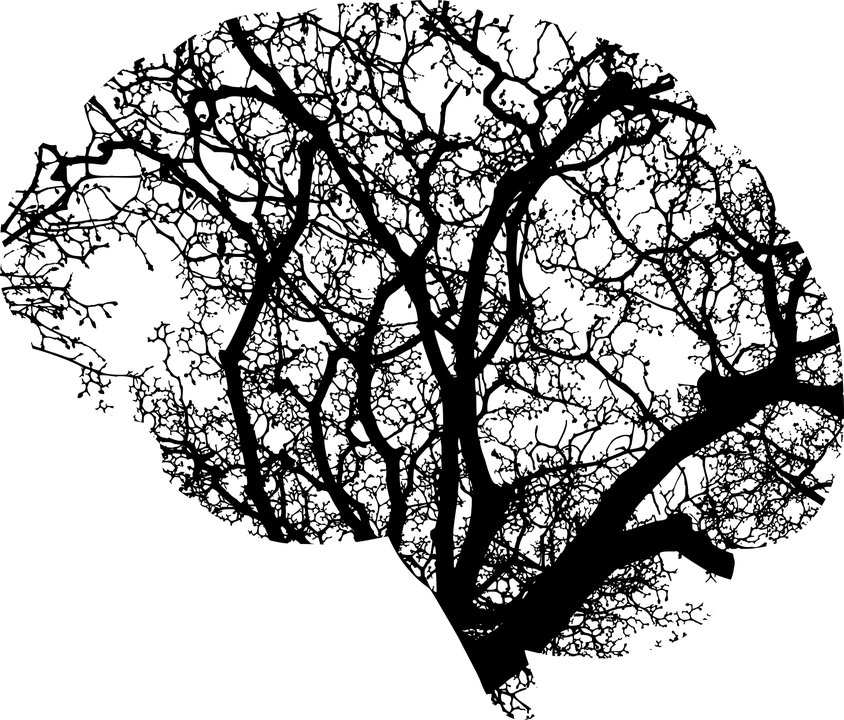 MonashPharm's tweet photo. Thank you to Prof Lester Drewes from @umnmedschool for his excellent speech. Join us shortly for this afternoon's session on how lifestyle and dietry choices can affect blood brain barriers. #CVBoz #MonashParkville #BBB #BioTech #PharmSci https://t.co/7FfBr8cNUL