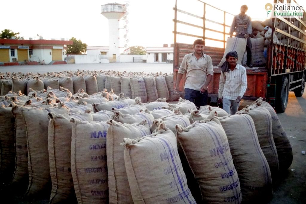 ril_foundation's tweet photo. The Producer Company at Jasdan, with 1500 members, achieved remarkable business feat of 128% growth in turnover in this year's Khairf season only in its second year of operation. #RFProducerCompanies https://t.co/9NZhgBw8dR