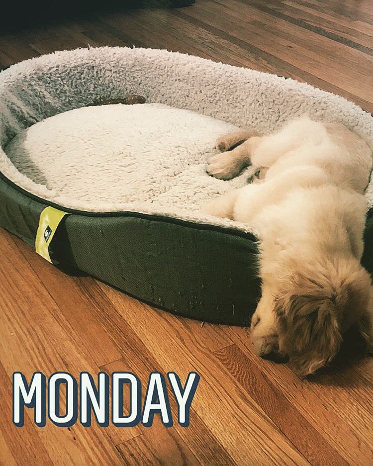 Fortu_App's tweet photo. #MondayMood https://t.co/Bw5e11F4Ps