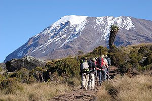 “Keep climbing; your fruits are on the top!”. Viva Kilimanjaro, viva Africa !!
taitravellers.com
#trekkingkilimanjaro #climbingkilimanjaro #mtkilimanjaro #africamountain #worldshighestfreestandingmountain #amazingpeak #worldswonder
