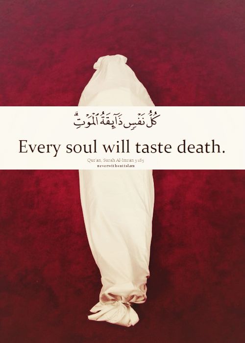 Quran Hadith On Twitter Quranverses Every Soul Will Taste Death Islam Quran Https T Co Unbkkzukih Twitter