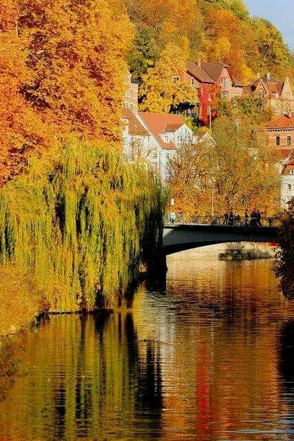 MarionSpekker's tweet photo. Good morning :-)) 
Twitterworld ✨💛✨ https://t.co/GId09Zdr5q