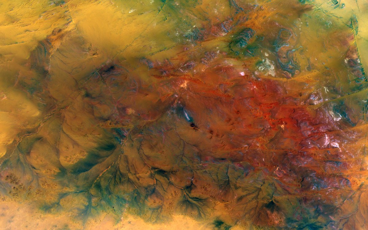 landsat365's tweet image. Erg Chech in northern #Mali -- false-color (SWIR-R-B) #Landsat 8 satellite image (@USGS @NASA). #geology #desert #map #space