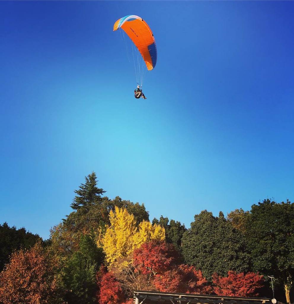 uno_sunny's tweet photo. 紅葉🍁と #hook4p https://t.co/fMqFz7Q9Lj https://t.co/xZrI9OGWhq