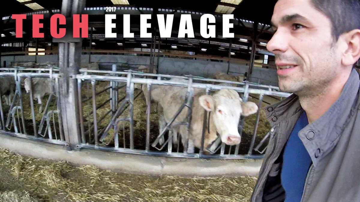 chaineagricole's tweet photo. VIDÉO : Mes quelques jours sur le salon @TechElevage 
🎥 => https://t.co/dfEiavukJH https://t.co/6uG70vhQPq