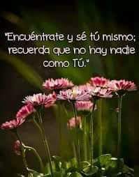 PPeales74's tweet photo. Buenos días...

Recuerda que no hay nadie como tú...

#FelizMartes https://t.co/NsXu0xt2Pc