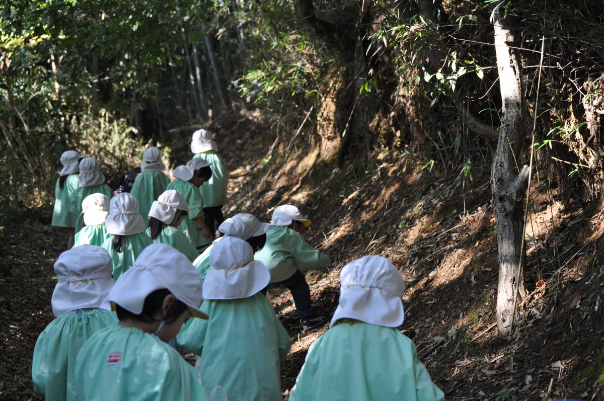 鶴川女子短期大学 鶴川幼稚園の年中さんが短大に遊びに来てくれました お弁当の食べた後は 裏山にどんぐりを拾いに行きました どんぐりたくさんゲットできました 短大 保育 短大 保育士になりたい 幼稚園の先生 どんぐり Hp T Co