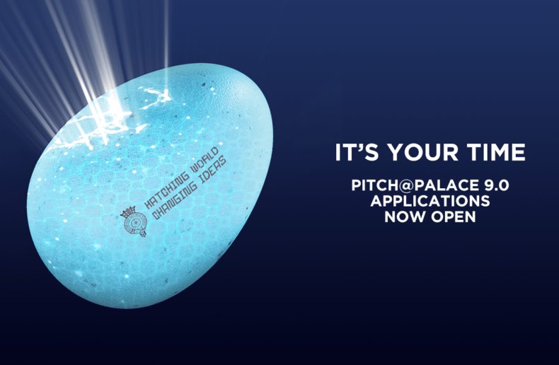 #Plymouth #DigitalTech community | Could YOU be the next #pitchatpalace 9 Winner? Focused on #Data, #Intelligence, and #CyberSecurity | Apply today for the chance to accelerate your business to the next level!  pitchatpalace.com/apply <a href="/ConnectPlymouth/">Connected Plymouth</a> <a href="/DigitalPlymouth/">Digital Plymouth</a>