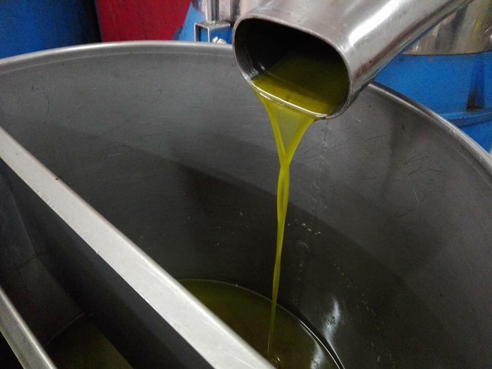 calabriaonline's tweet photo. #Calabria tra i leader nella produzione di #olioextravergine di oliva. Dalla nostra campagna al frantoio di #Limbadi. #Qualenergia se non quella della genuinità, #gusto e benessere? 

@coldiretti @ColdirettiG @Cia_Agricoltura @agricoltura24 @Olioextrav @iOlivextravergi https://t.co/1QPhv3Rkol