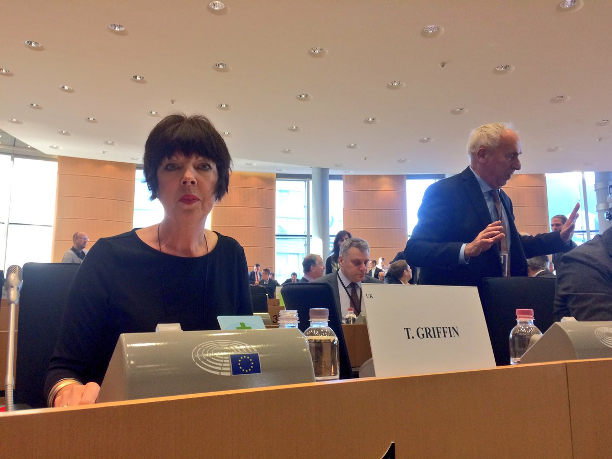 TheresaEurope's tweet photo. Proud that @EP_Industry has just voted in favour of our 40% #energyefficiency target, binding at national level! This ambition has the potential to lift millions out of energy poverty! https://t.co/Dd5gcwG9EZ