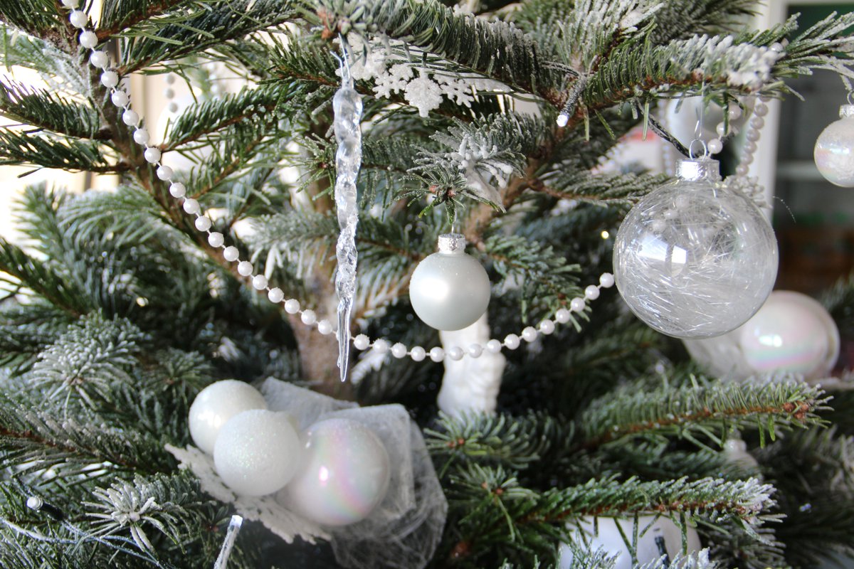 Notre sapin est installé dans nos locaux ! Et le vôtre ?
Envoyez-nous votre selfie avec votre sapin 😃🎄
#JATXMAS
justeatemps.com/EV02/sapin.html