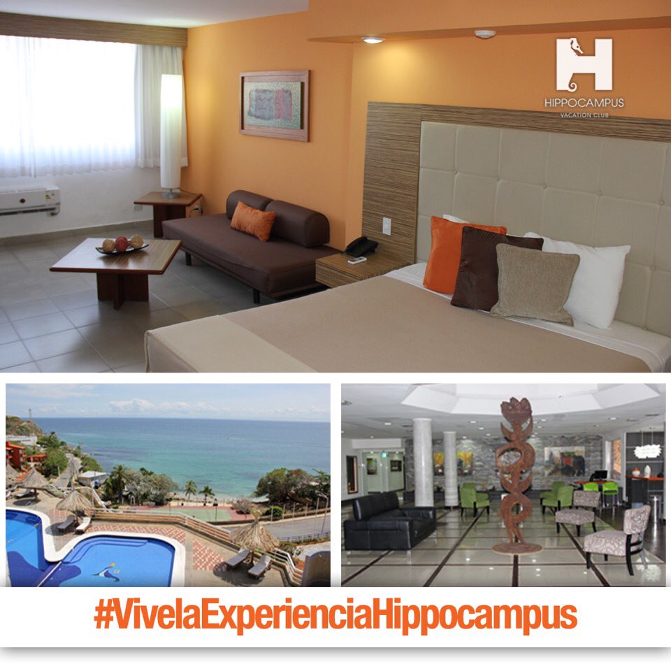 HippocampusVC's tweet photo. Disfruta el placer de vivir una experiencia Hippocampus. Contáctanos: reservaciones1@hippocampus.com.ve
Telf.: (+58  295) 331.1300 #islademargarita #hippocampusvacationclub #vacaciones2017 #hospedaje #eventoscorporativos #salones #hotelesenmargarita #experienciahvc #turismo https://t.co/pFZMlHcvGg