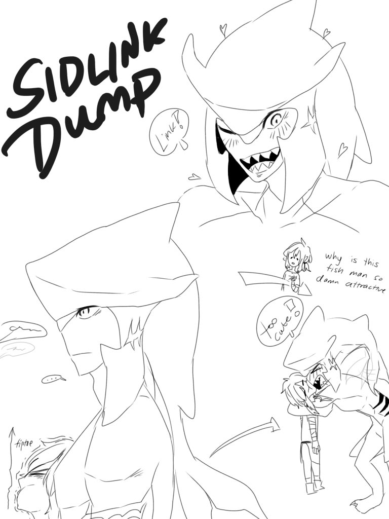 sidlink dump 