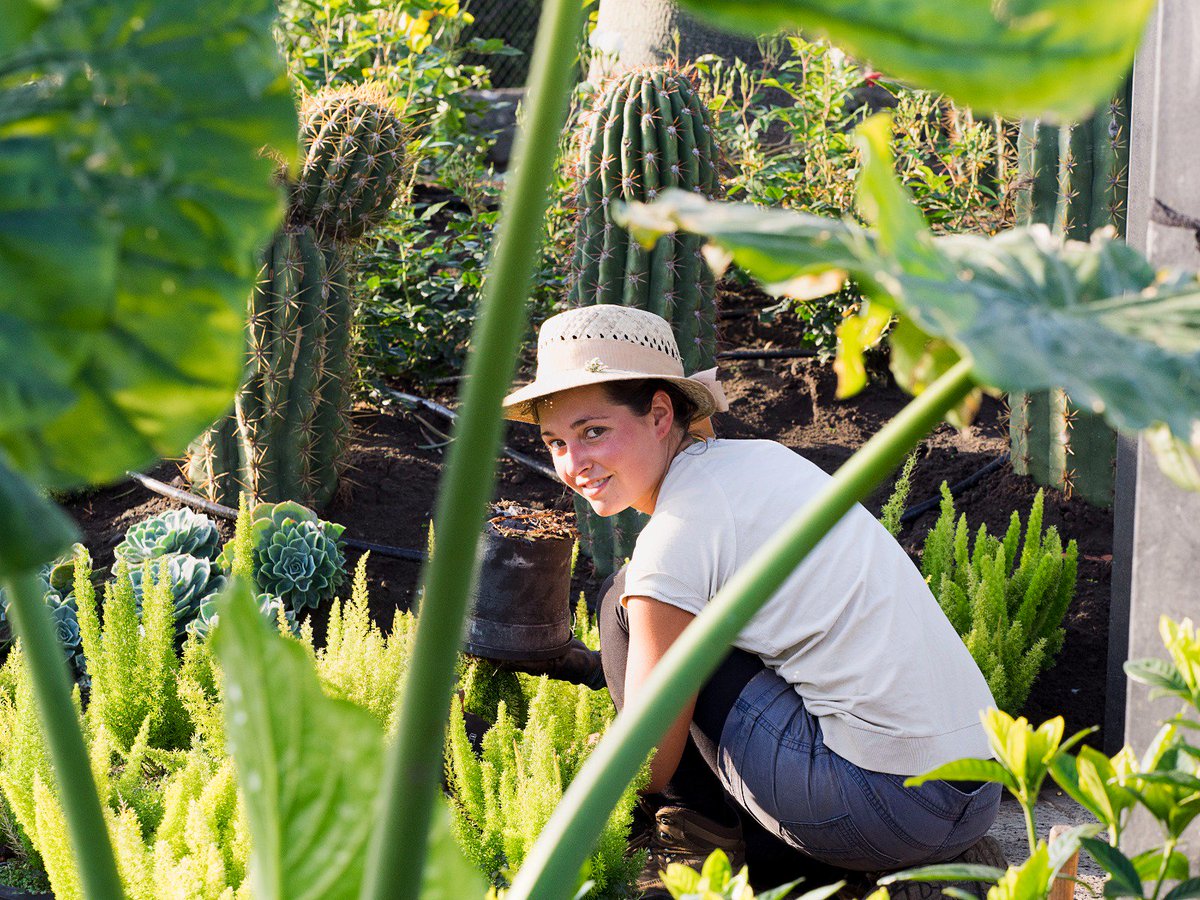 L’ #amore e il lavoro sono per le persone ciò che l’ #acqua e il sole sono per le #piante. 
#Radicepura.
ow.ly/UQgU30gPUh0