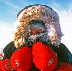 steve read tweet media