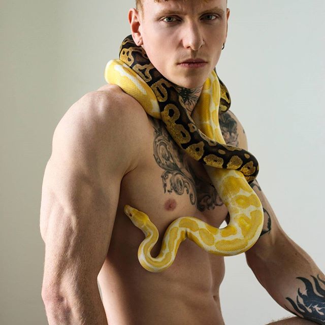 Only creatures I decently love 👌