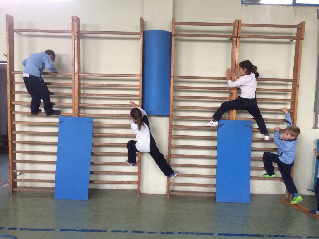 AgustinosGR's tweet photo. En 1° de Primaria trabajan la trepa y el equilibrio con un divertido circuito de obstáculos. https://t.co/sJqdil8Zpt