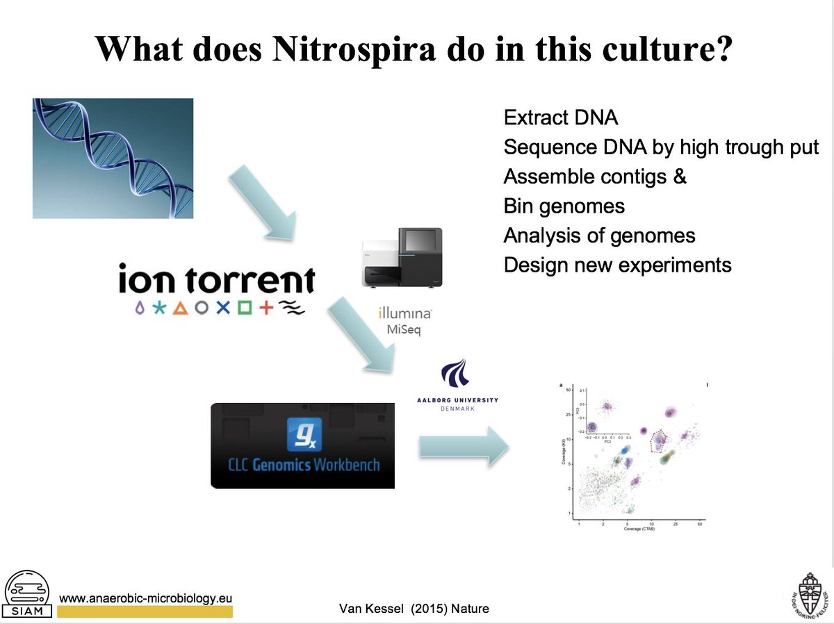 msmjetten's tweet photo. Teaching #nitrifying #bacteria including #comammox to 2nd year BSc Biology students of @Radboud_Uni #nitrosomonas #nitrobacter #nitrospira #ammonium #nitrite #nitrate #nitrogen cycle #microbiology
https://t.co/79h66hkOxP
https://t.co/evKK3NG9T4 https://t.co/H7jBzn6nxw