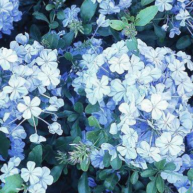 Healing is a choice. It’s not an easy one, because it takes work to turn around your habits, but keep making the choice and shifts will happen.
-Yehuda Berg-

#JUNGKOOK 📷: <a href="/hellomykookie/">헬로마이꾹이🐰</a>