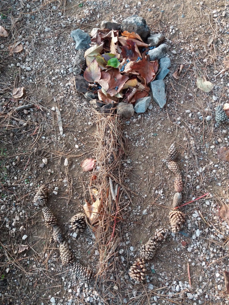 CRomaneche's tweet photo. Nous avons fait du Land Art: on a pris des "choses" de la nature pour faire des oeuvres d'art. https://t.co/aKeMt3a8Zm