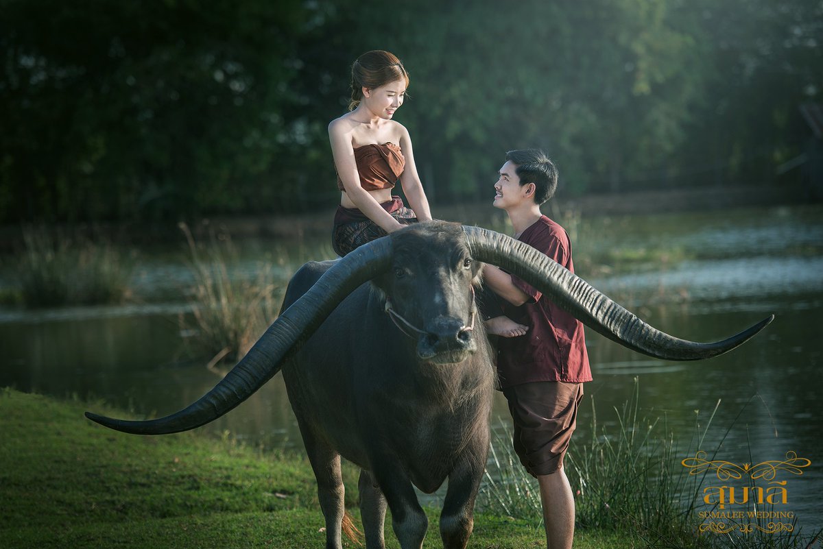 wichan_sumalee's tweet photo. ถ่ายพรีเว็ดดิ้ง
#prewedding #ถ่ายภาพ #Wichan_sumalee https://t.co/HxZrjFHn1f