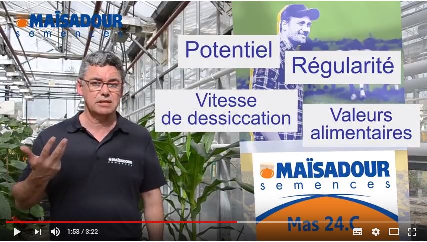 MASseedsfrance's tweet photo. Top résultats Arvalis en G1 pour MAS 24.C
103% sur régions Nord-Est et Alsace
101,1% sur bassin Parisien
Fiche variété &amp; vidéo par ici...
https://t.co/Ave3aP0yjN https://t.co/frDIBZV4HU