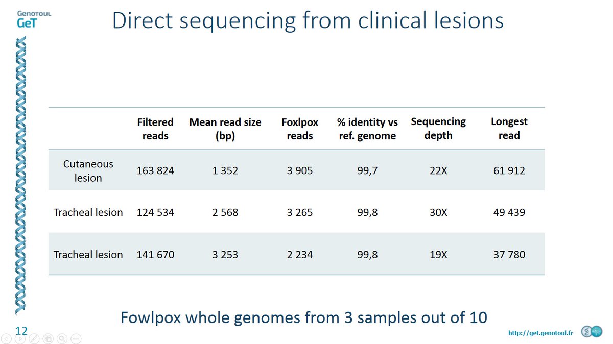 GeT_Genotoul's tweet photo. #GeT2017 Identification of a 300kb DNA #Avian #Poxvirus directly from clinical lesions w/ @Nanopore #MinION sequencing by Guillaume Croville https://t.co/r2oyiJ8sxX