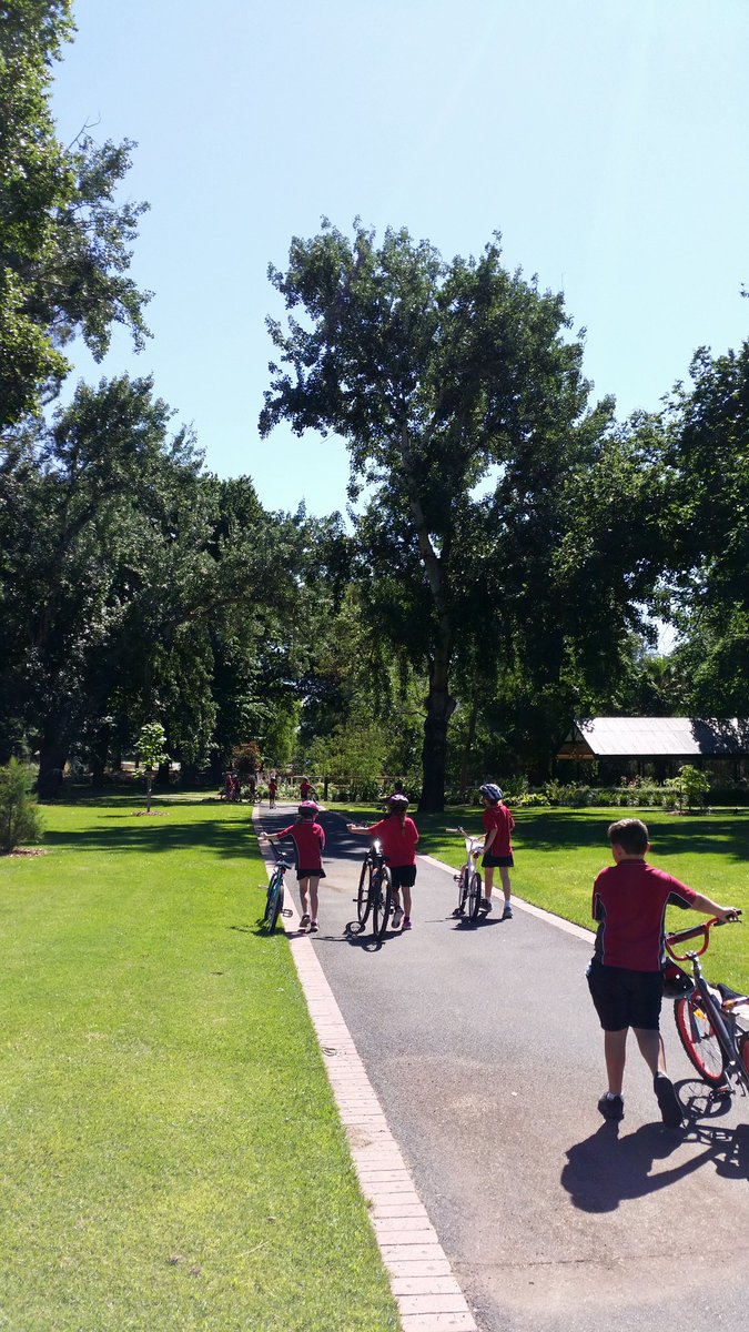 Epsom Grade 1/2P tweet media