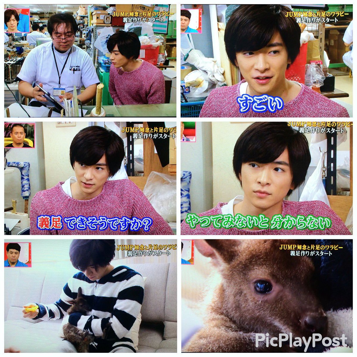 伊野尾慧 画像 遅くなりました ナッツの親代わりが知念くんでよかった 志村どうぶつ園 知念侑李 2つに分けます 伊野尾慧 画像 遅くなりました ナッツの親代わりが知念くんでよかった 志村どうぶつ園 知念侑李 2つに分けます